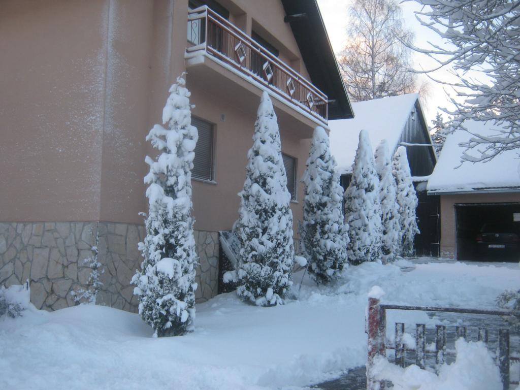 House Pribic Hotel Vrelo Koreničko Eksteriør billede